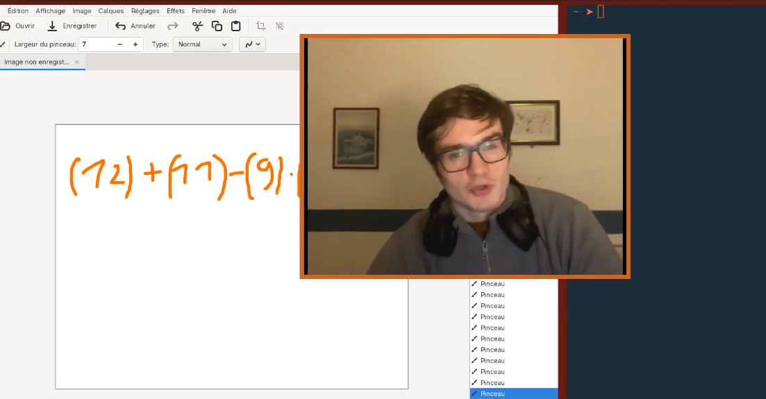 dwm_example_webcam.png