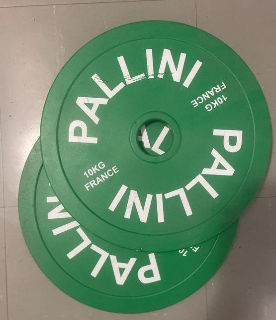 ../../assets/common_files/sports/palini_vert1.jpg