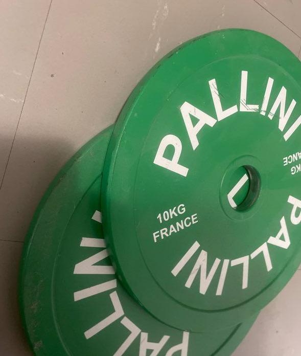 ../../assets/common_files/sports/palini_vert2.jpg